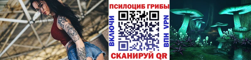 Купить закладки  Остров  Псилоцибиновые грибы ЛСД 